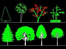 30种CAD精美植物立面图块